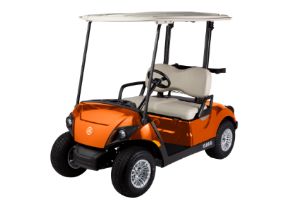 Shop Now Yamaha Golf Cart for sale in Council Bluffs, IA